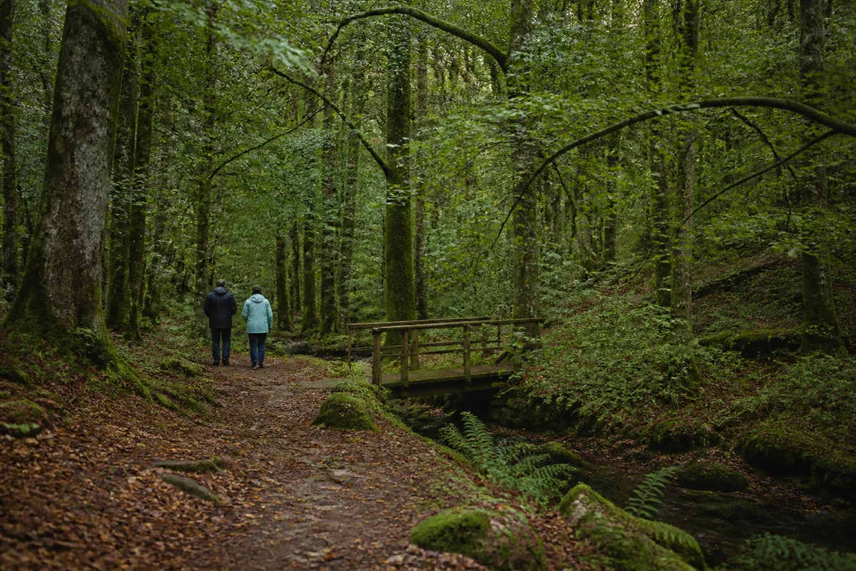 Deux marcheurs sur un chemin bordé de mousse dans une forêt ancienne